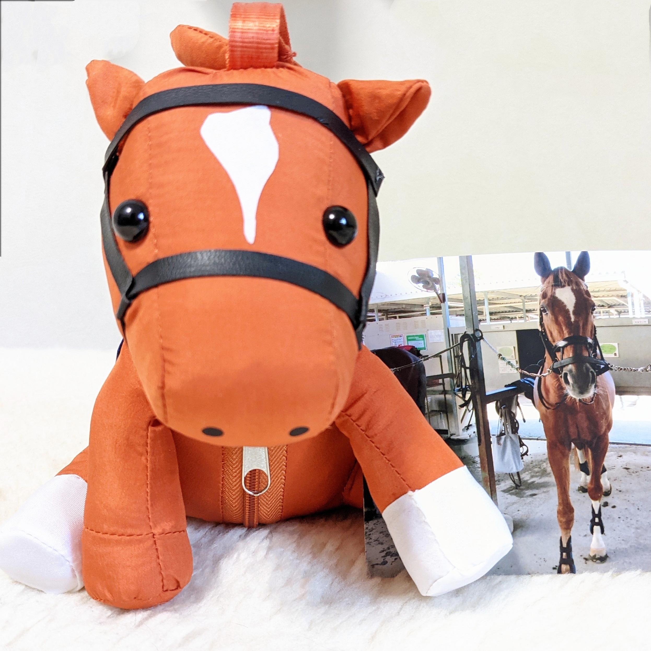 各種オーダーについて