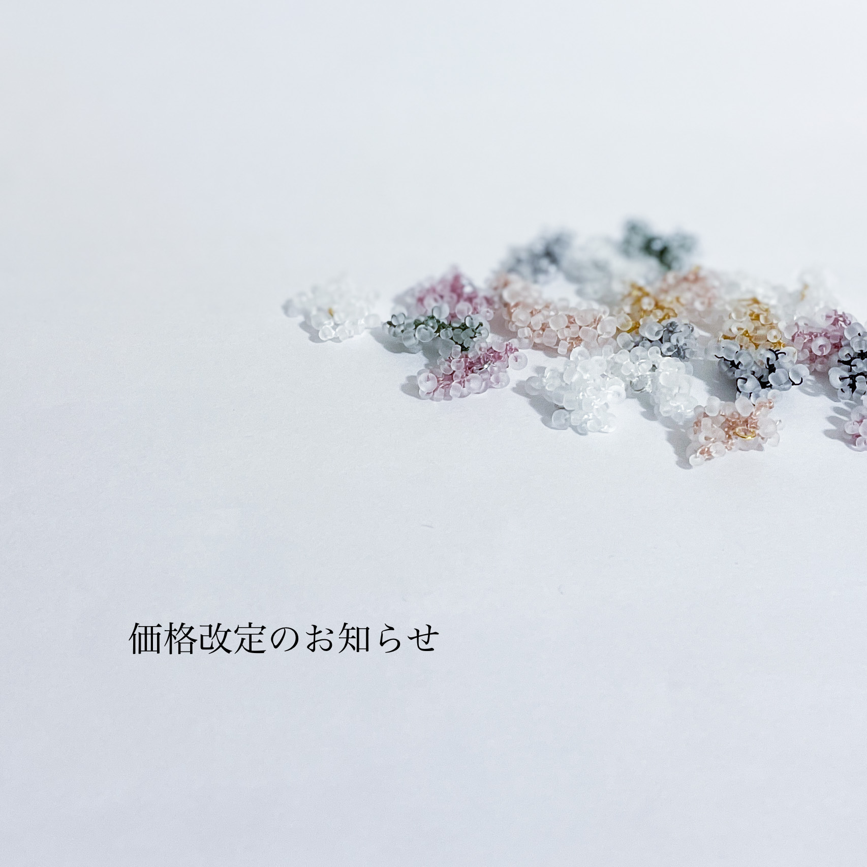 9/29(水)より、価格改定をいたします