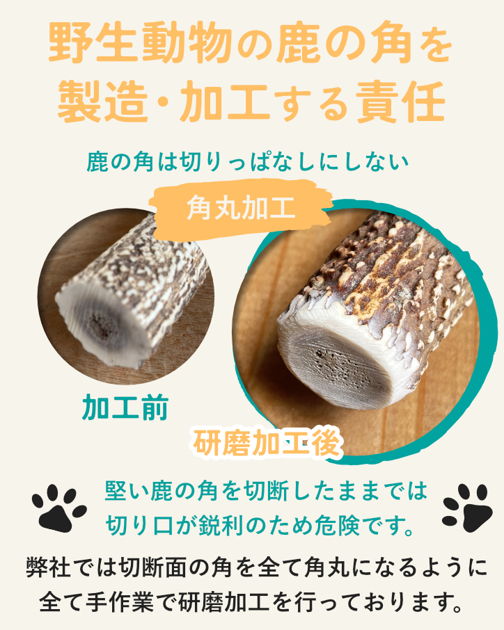 鹿の角は「角丸加工」がポイント！切断面の危険性と安全へのこだわり
