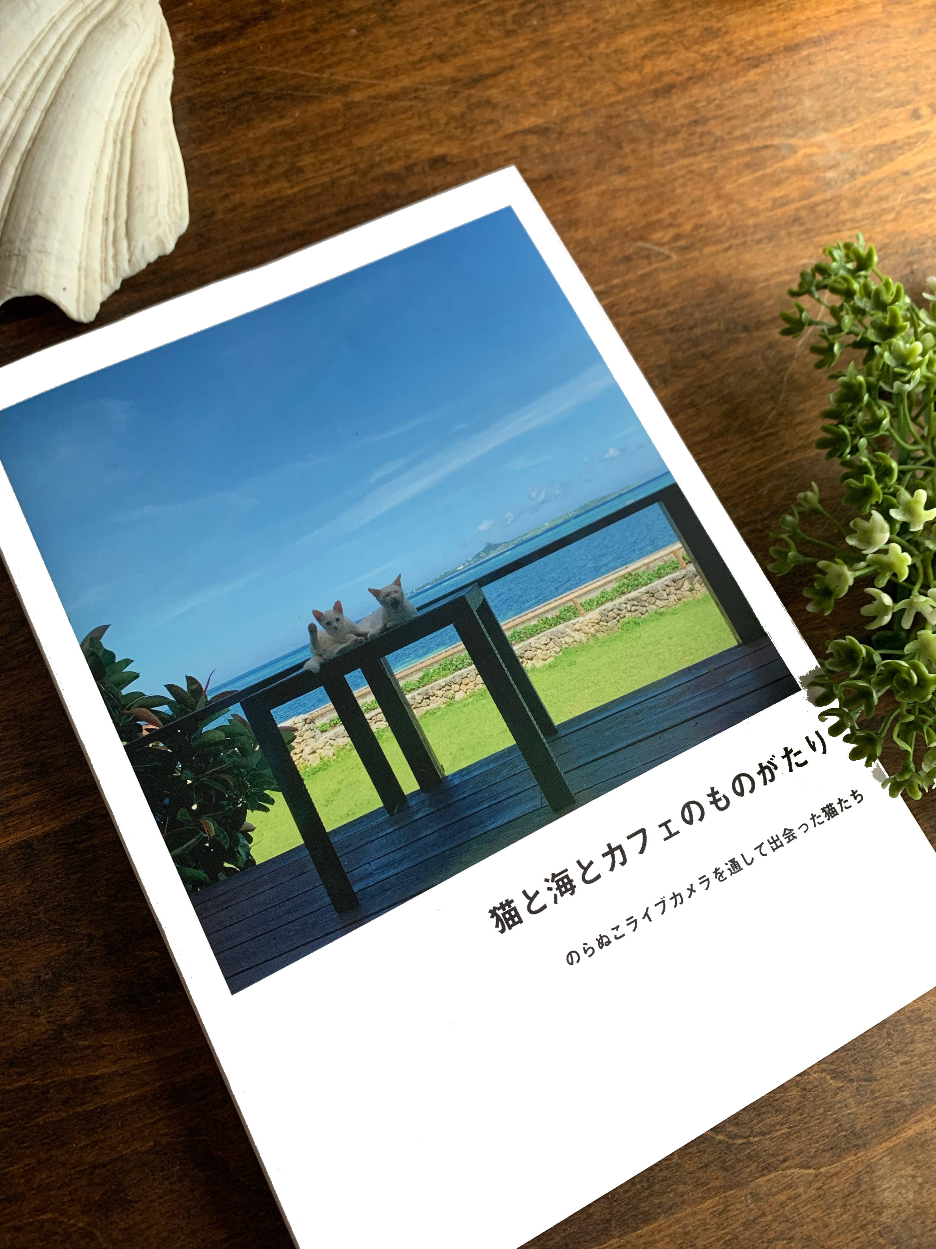 フォトブック予約販売始めます