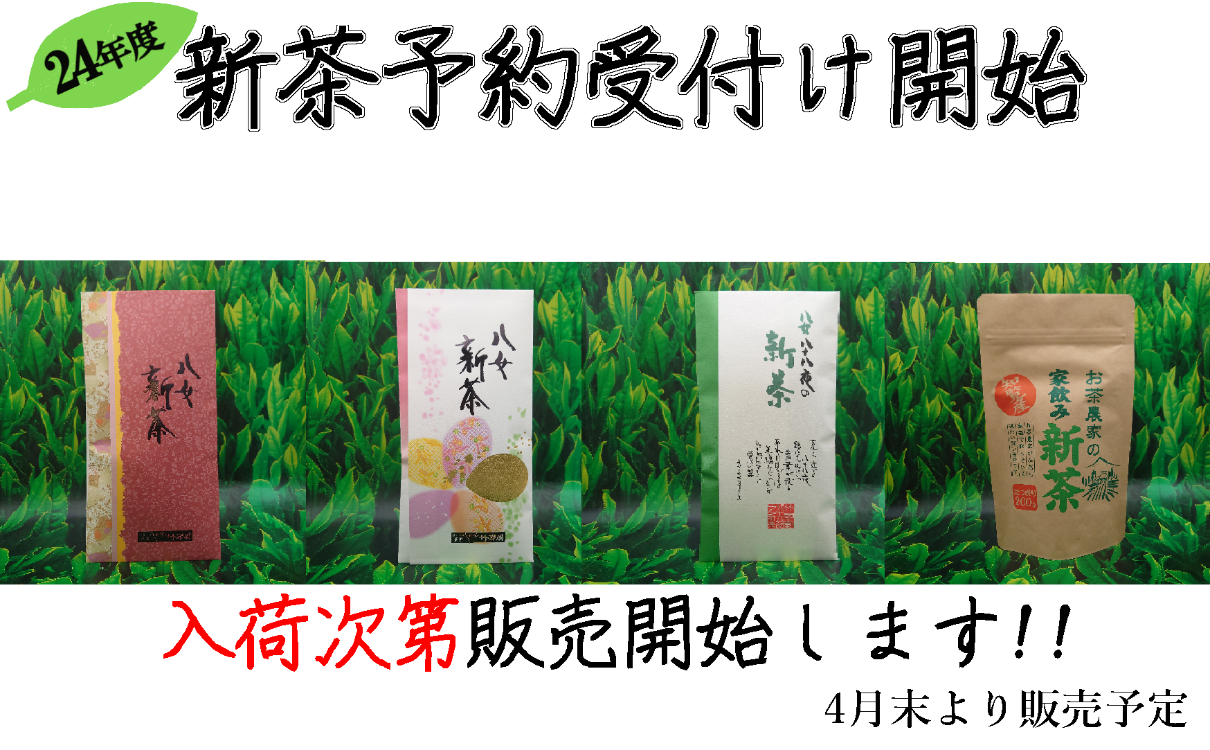 24年新茶の予約承ります。
