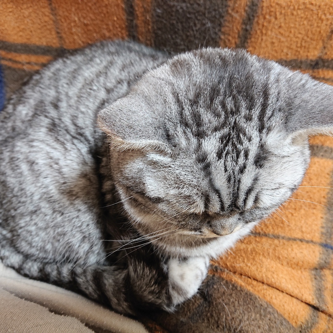 医療の発達