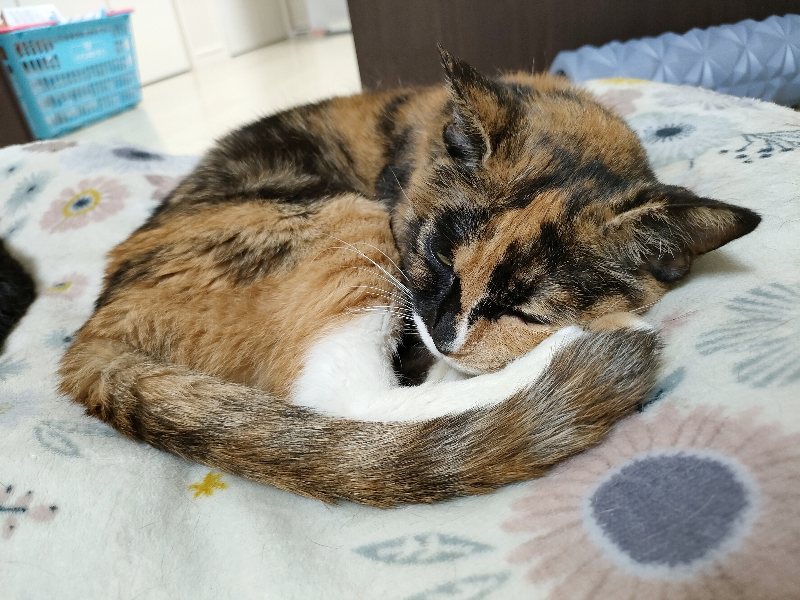 最高最善のご家族を