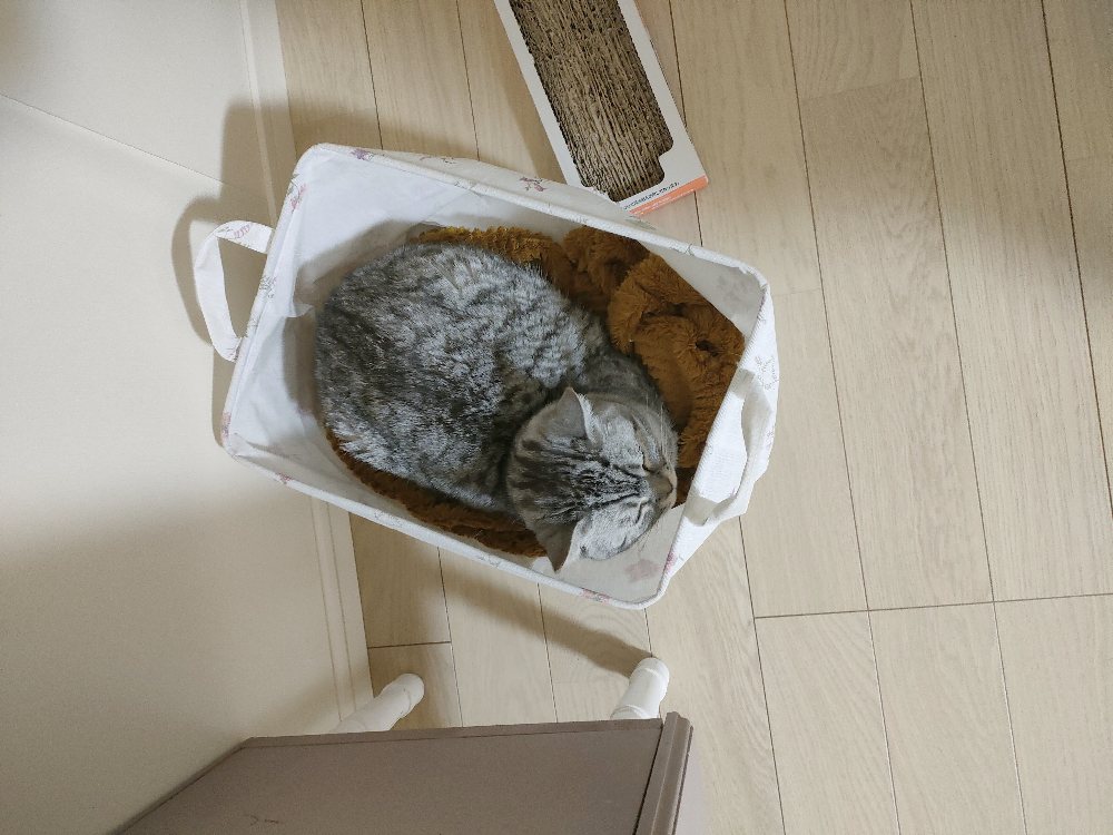 ちょっといいドラマ