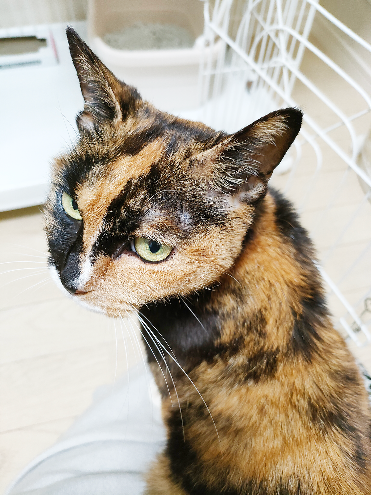 春まっさかりも、もうすぐ。