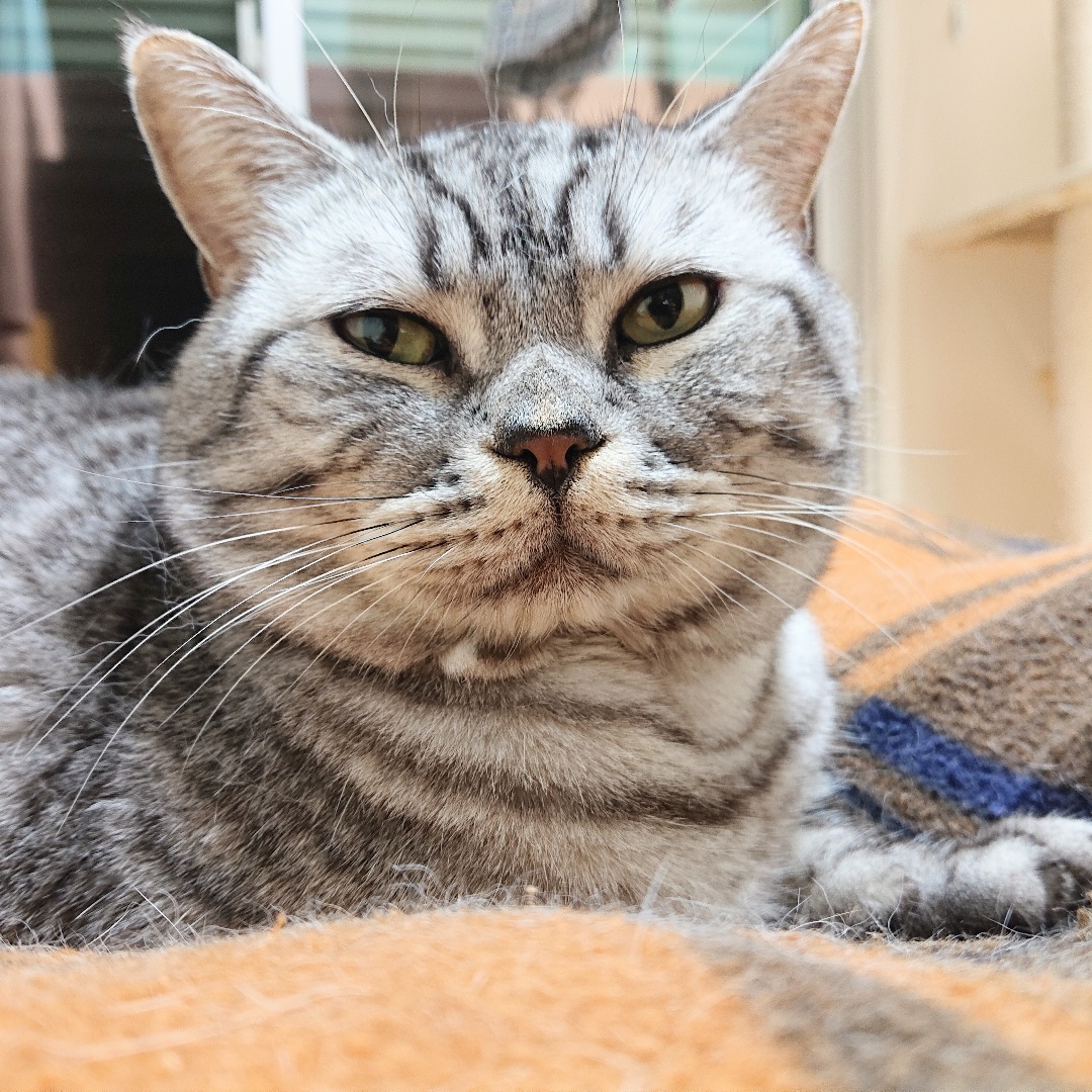 満月の日の贈り物！？