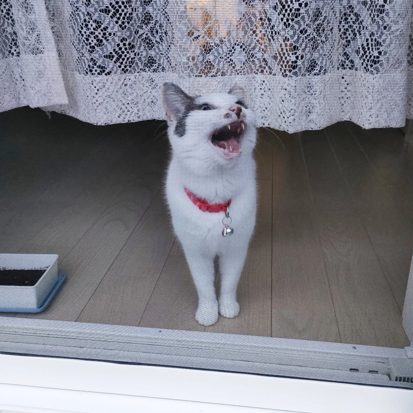 地球での生き方