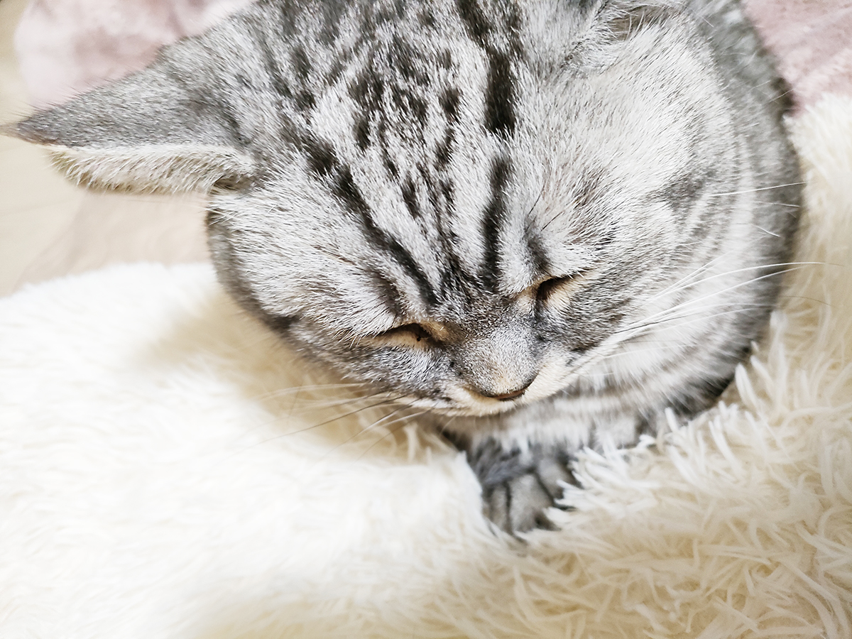 新年度の過ごし方