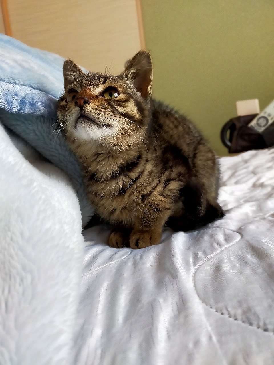 なぜか父には動物が集まってくる。。