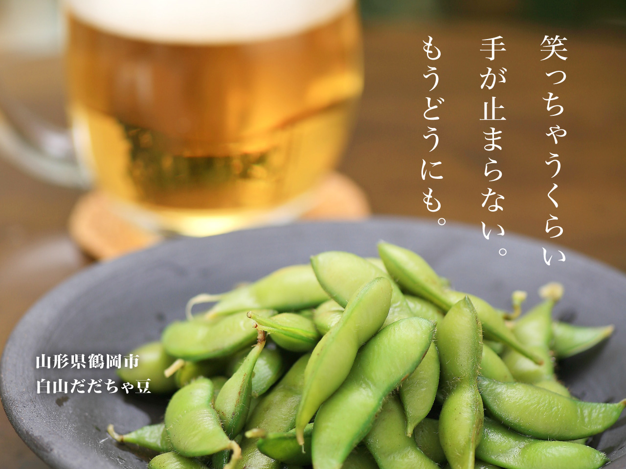 Z:SUNのこだわり「白山だだちゃ豆」