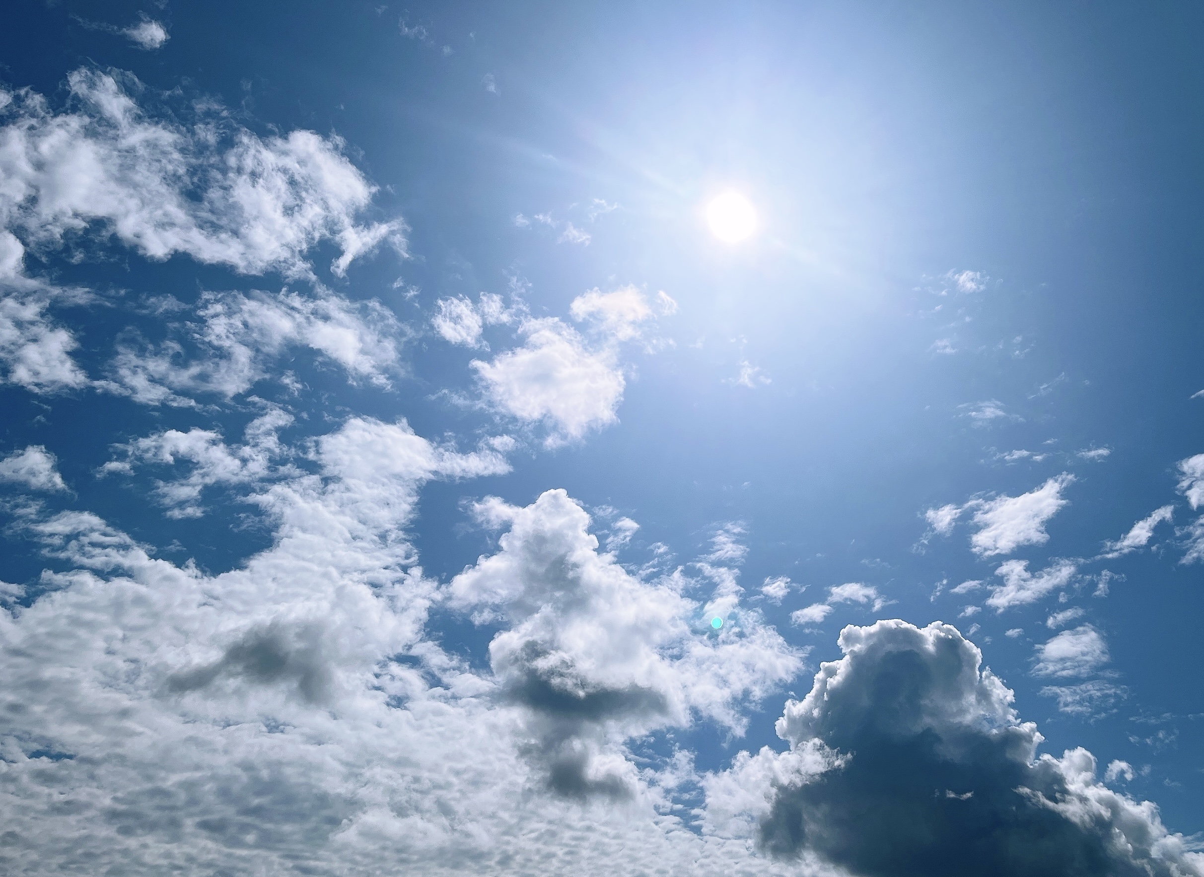 中今を感じた言葉🪷