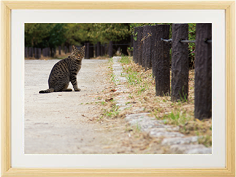 9月7日は絶滅危惧種の日