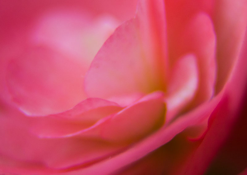 春色の風その１