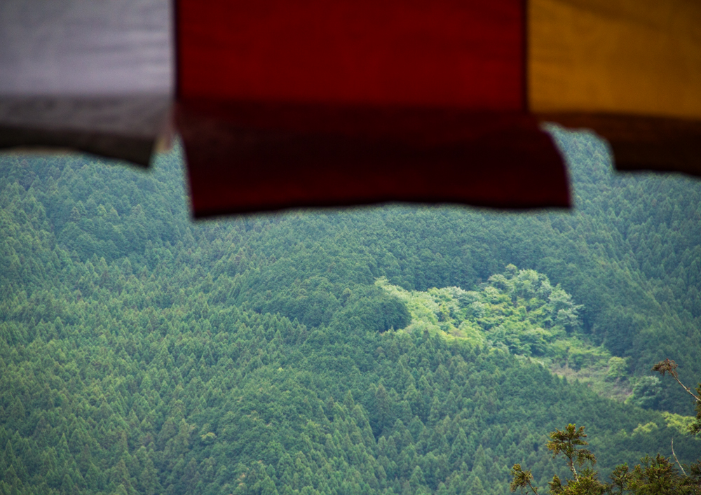 一枚の写真を歌詞にする(1)