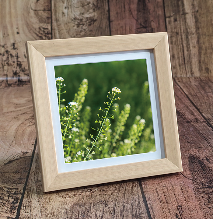 自然は奇跡にみえてそれが普通の事