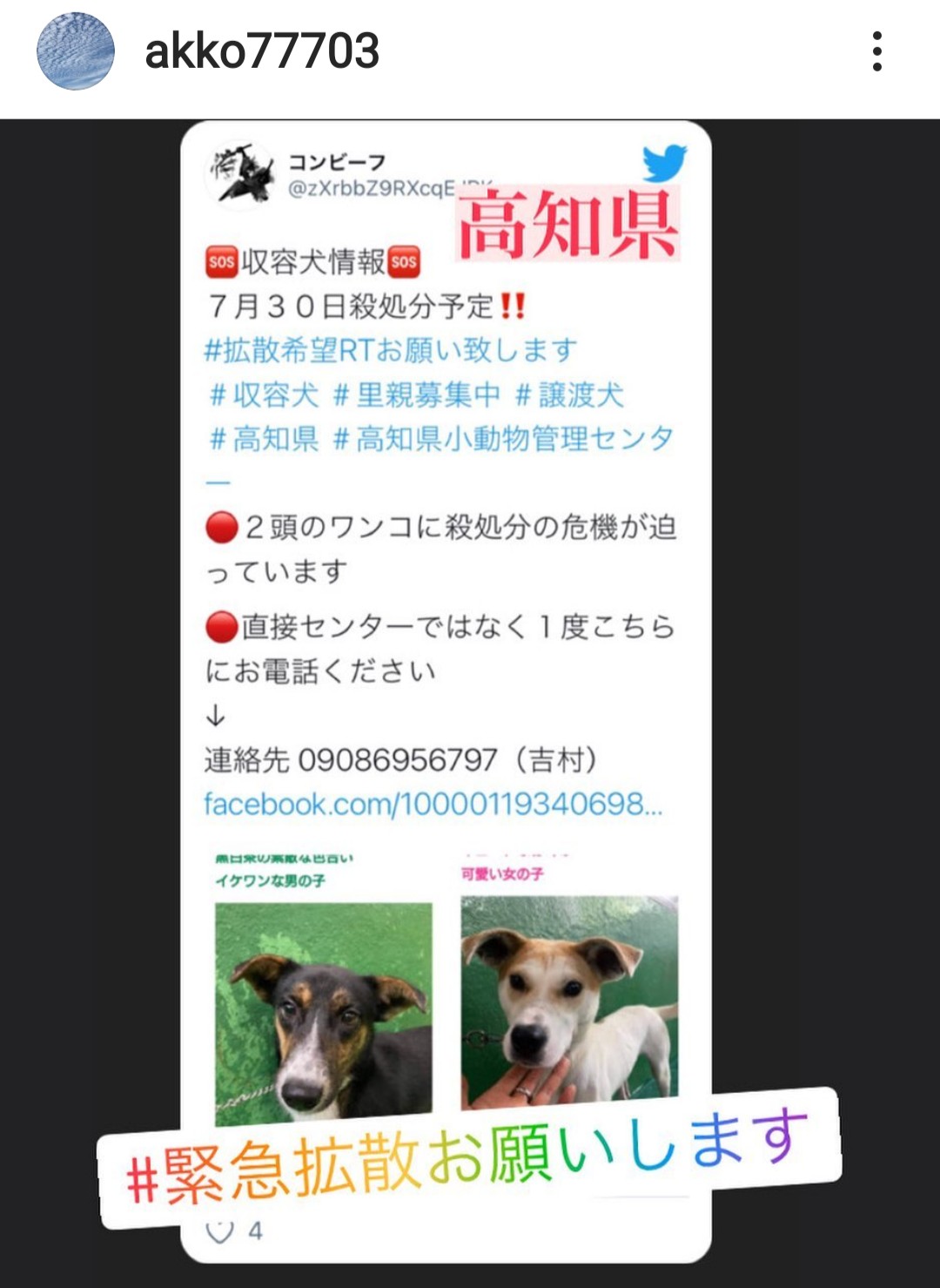 7月28日のInstagramの引用です。