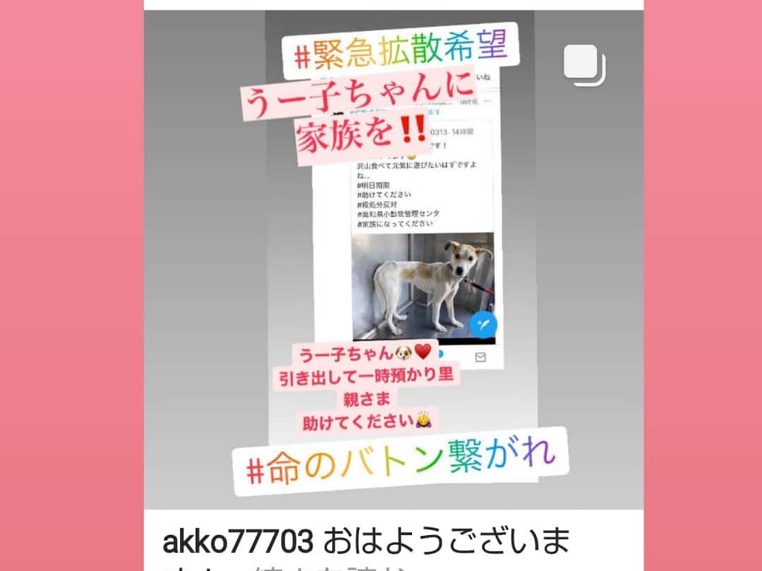 8月3日のInstagramの引用です🌻