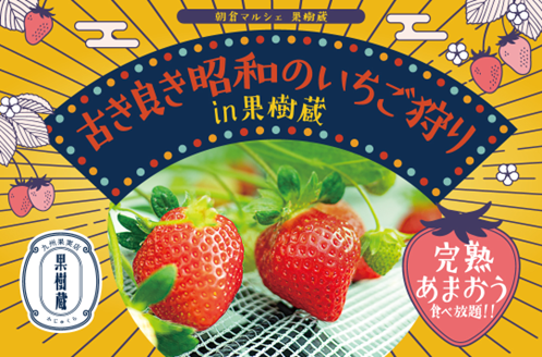 🍓福岡県朝倉市🍓【2026年いちご狩り】予約受付開始！