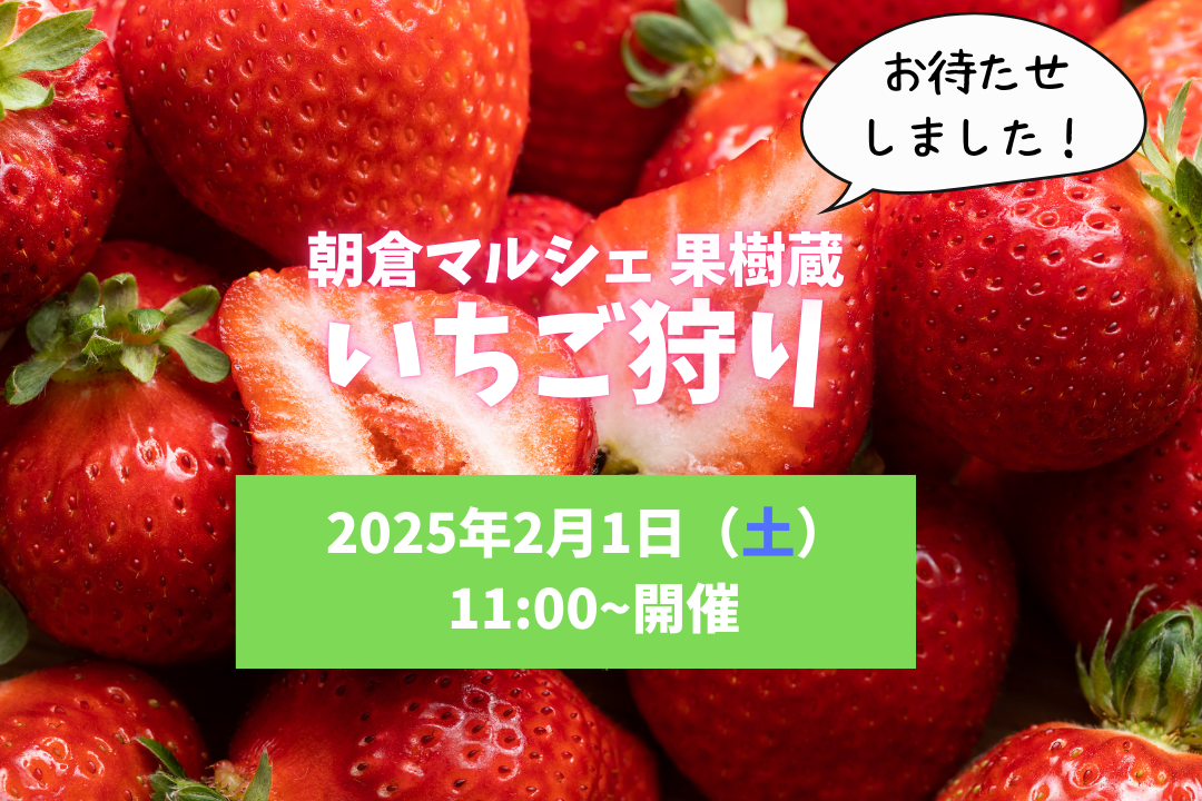 【2025年いちご狩り】2月1日開催決定！
