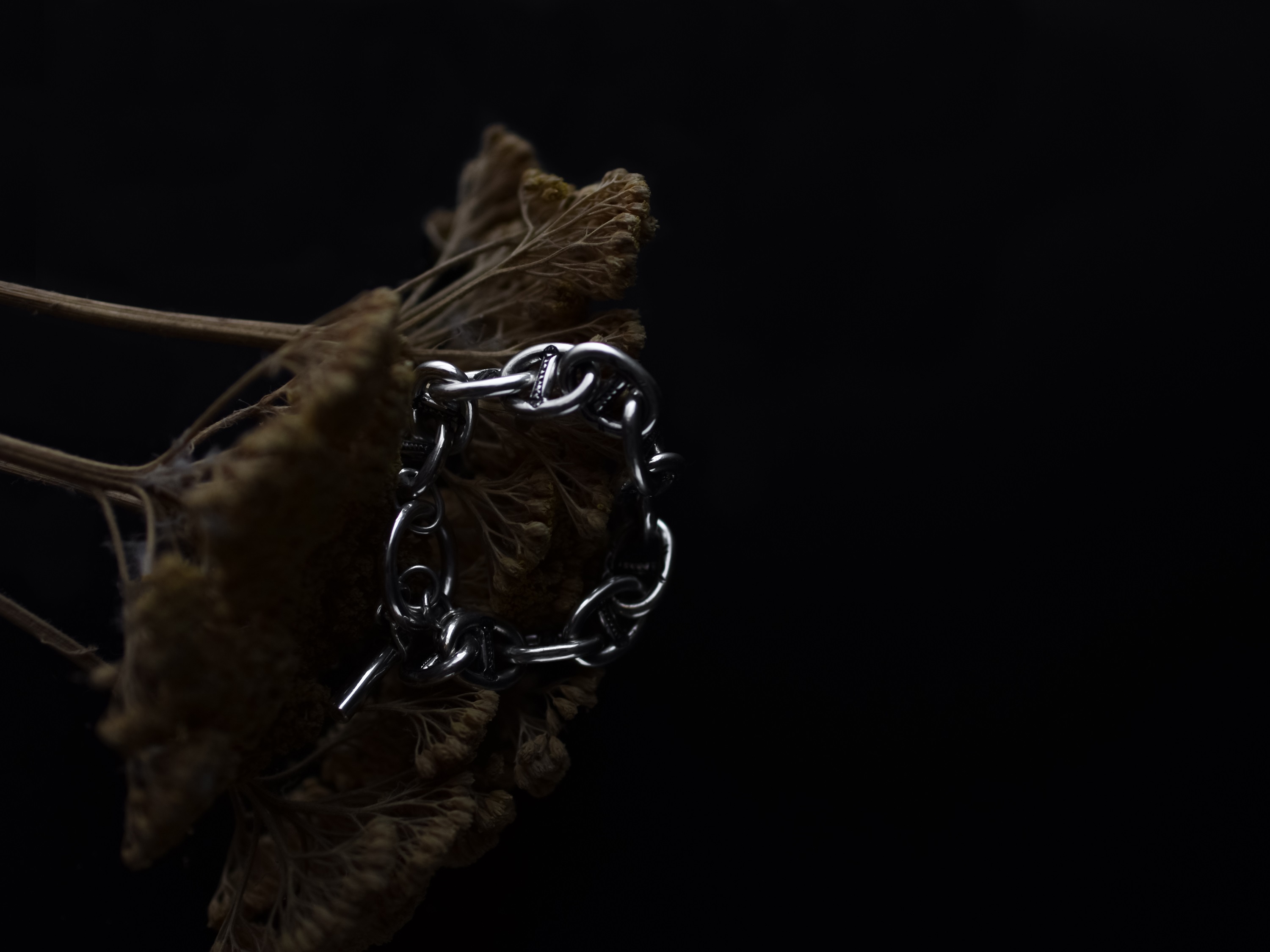 Touareg Silver × Anchor chain Bracelet