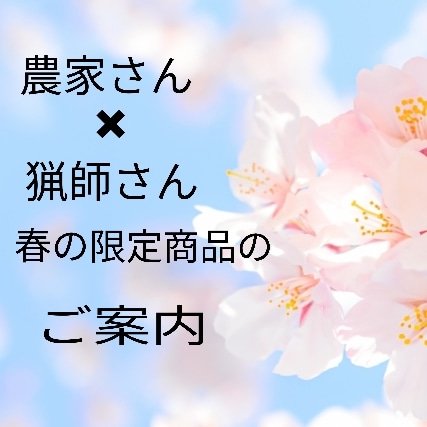 何が魅力のページなの？