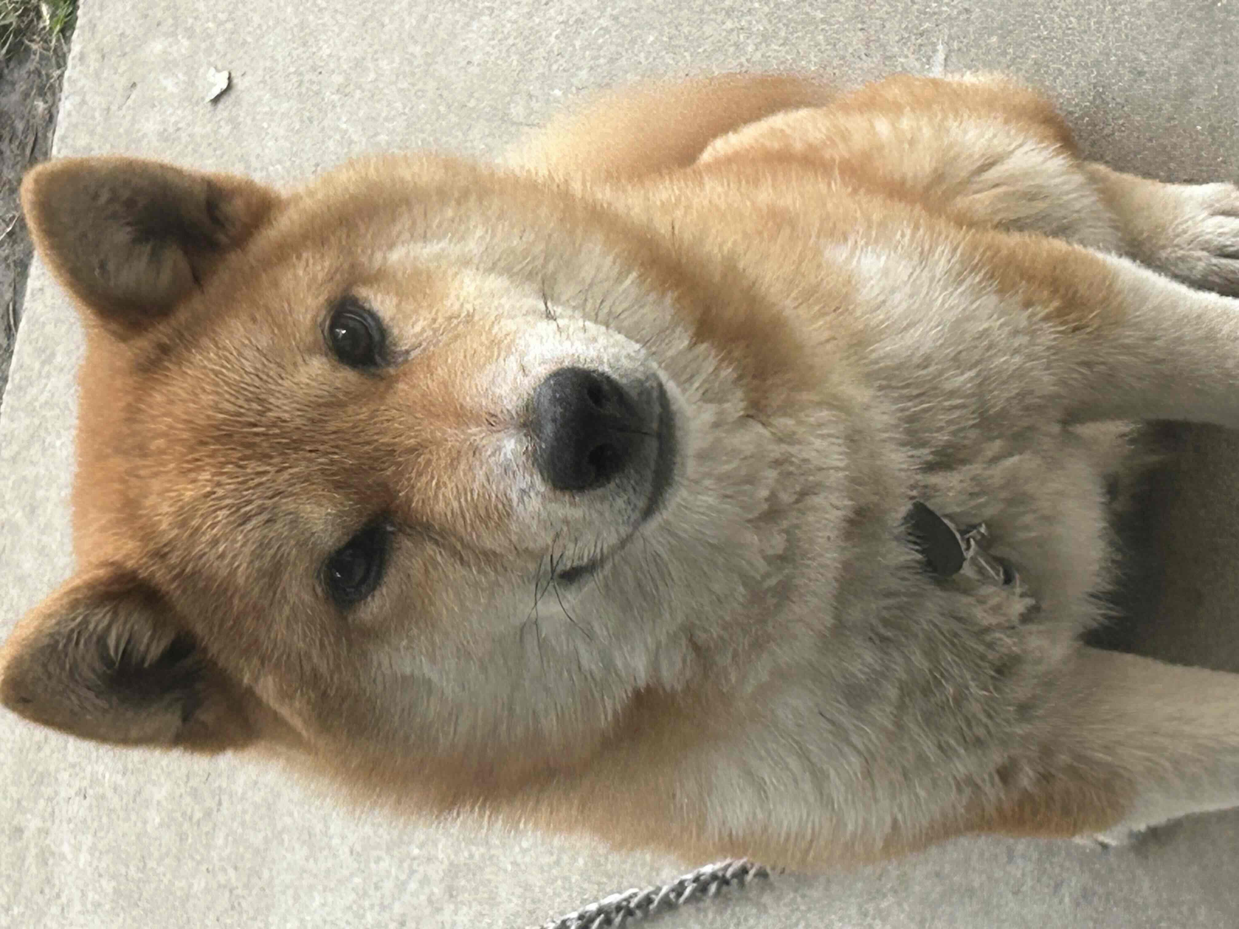 立派になりました！