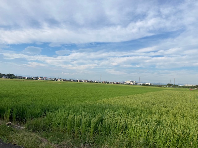 夏の風景