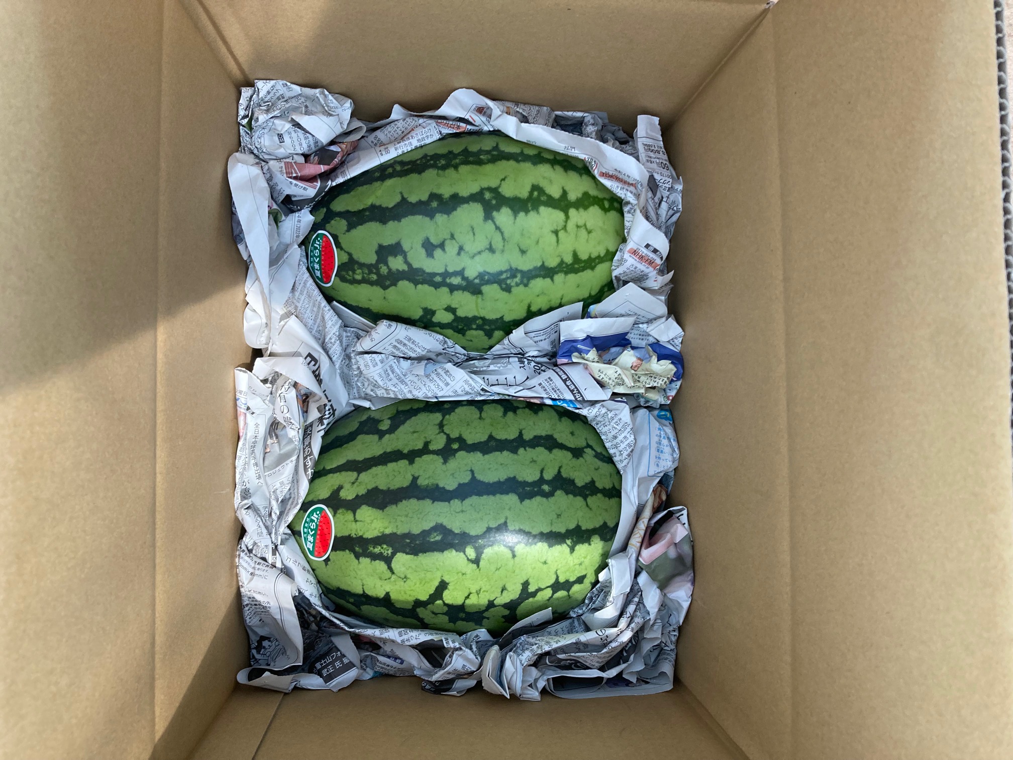スイカの出荷が始まりました！