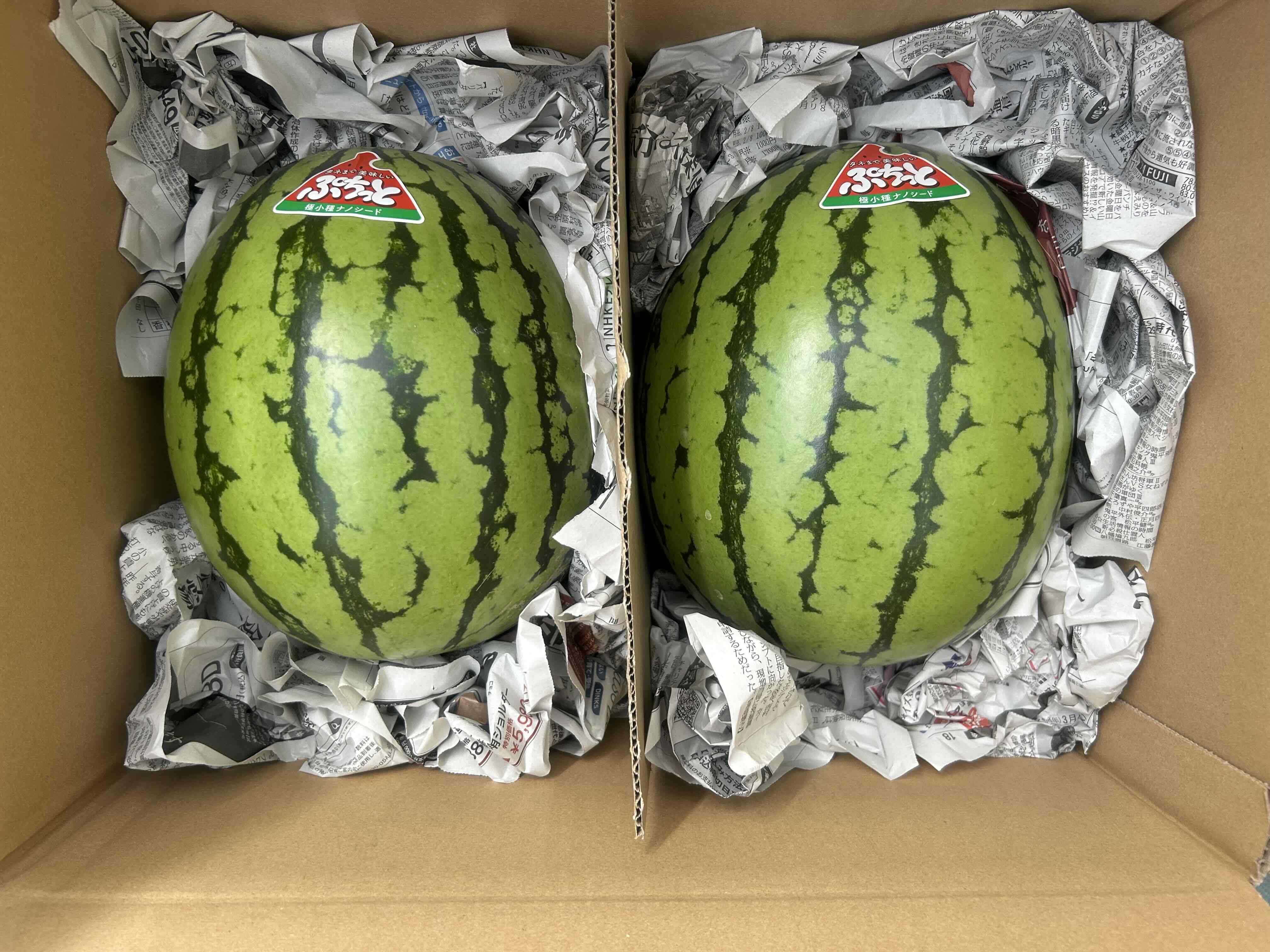 シャリシャリのスイカをお届け中!
