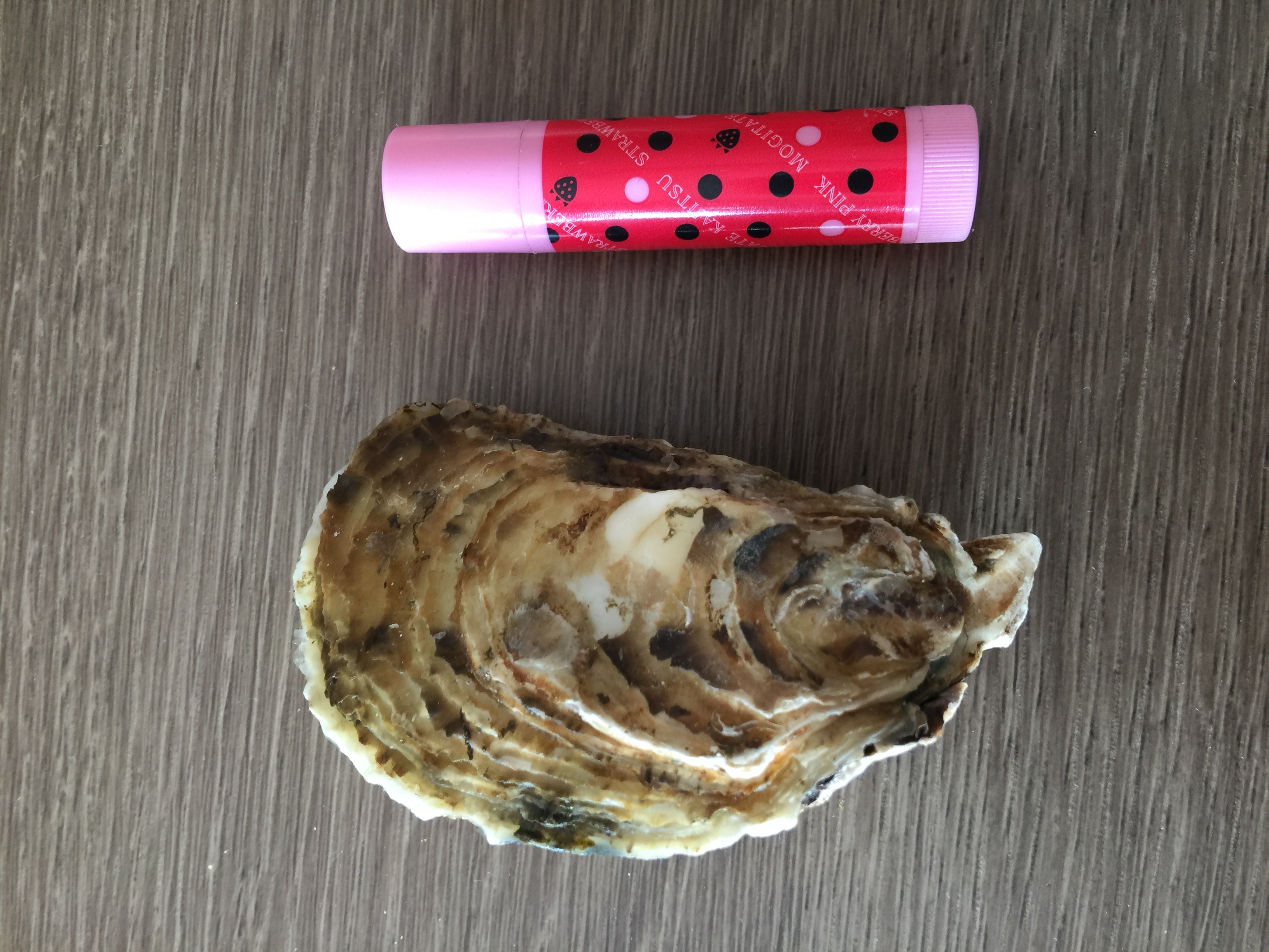 殻付き牡蠣身入り抜群です！！