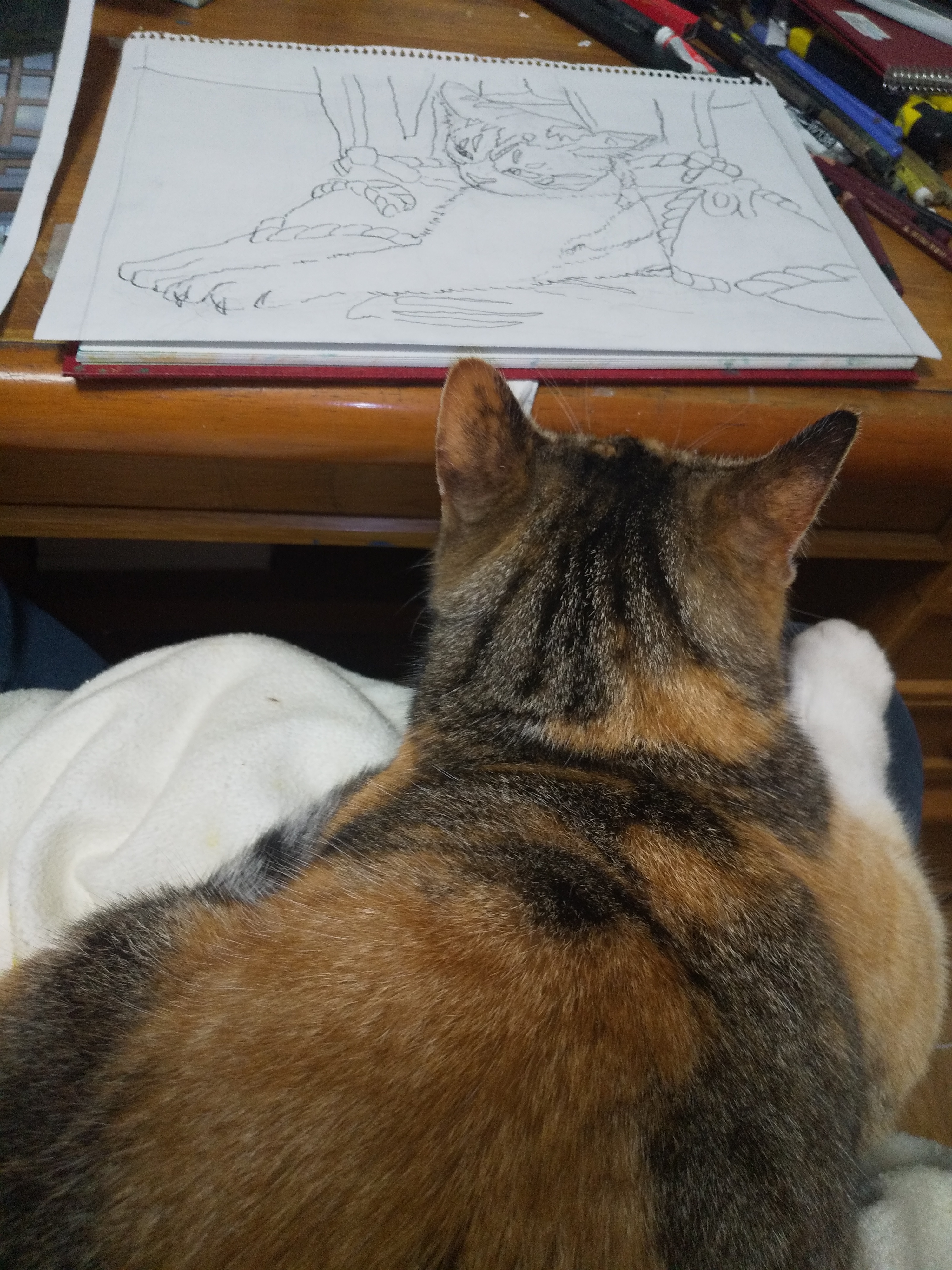 猫の手を借りて制作