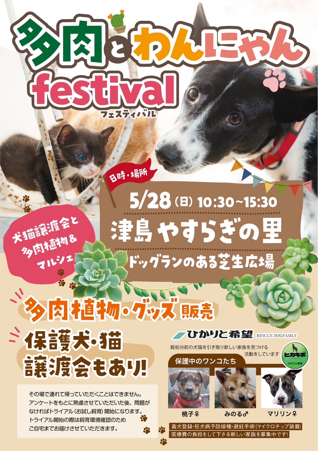 2023.5.28 多肉とわんにゃんフェスティバル