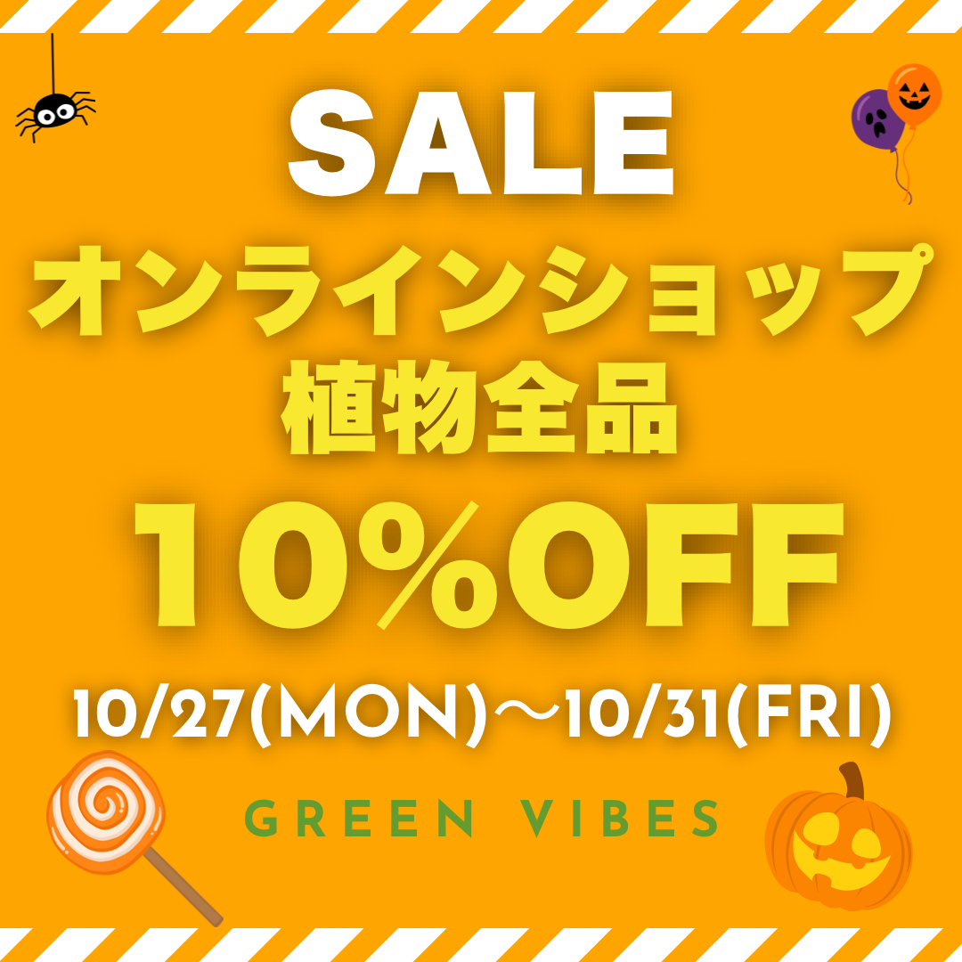 オンラインショップSALE 10%OFF