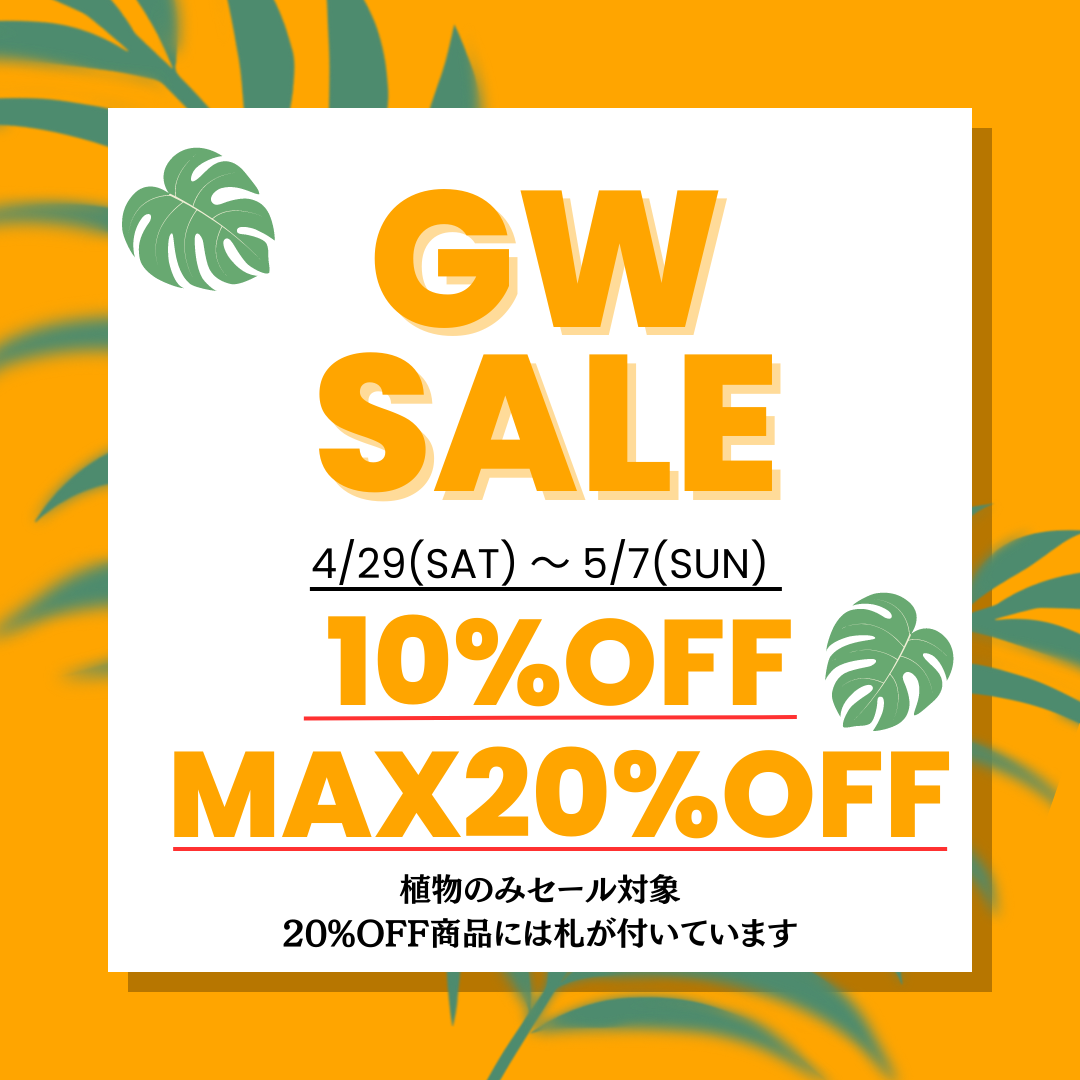 GW SALE 10%OFF MAX20%OFF