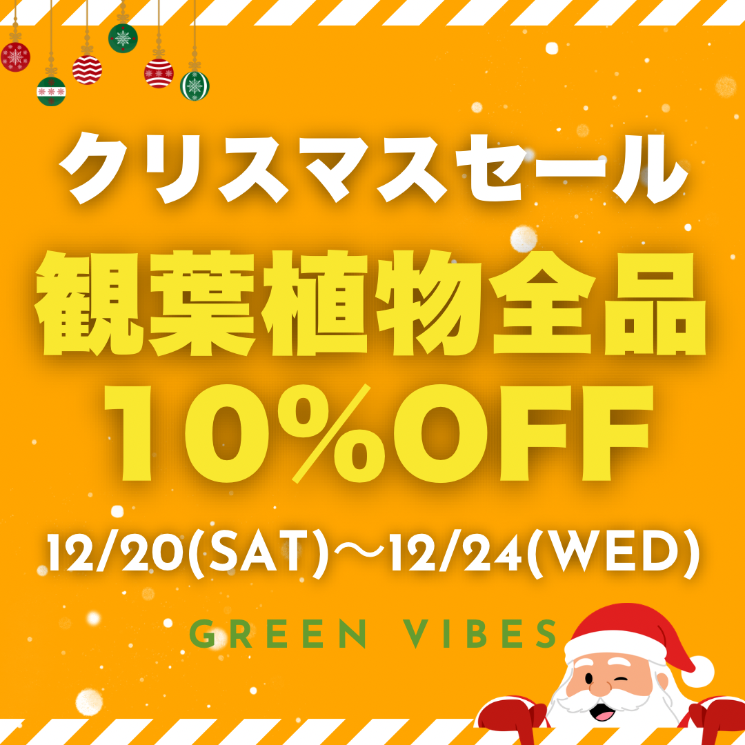 12/20〜24までクリスマスセールのご案内