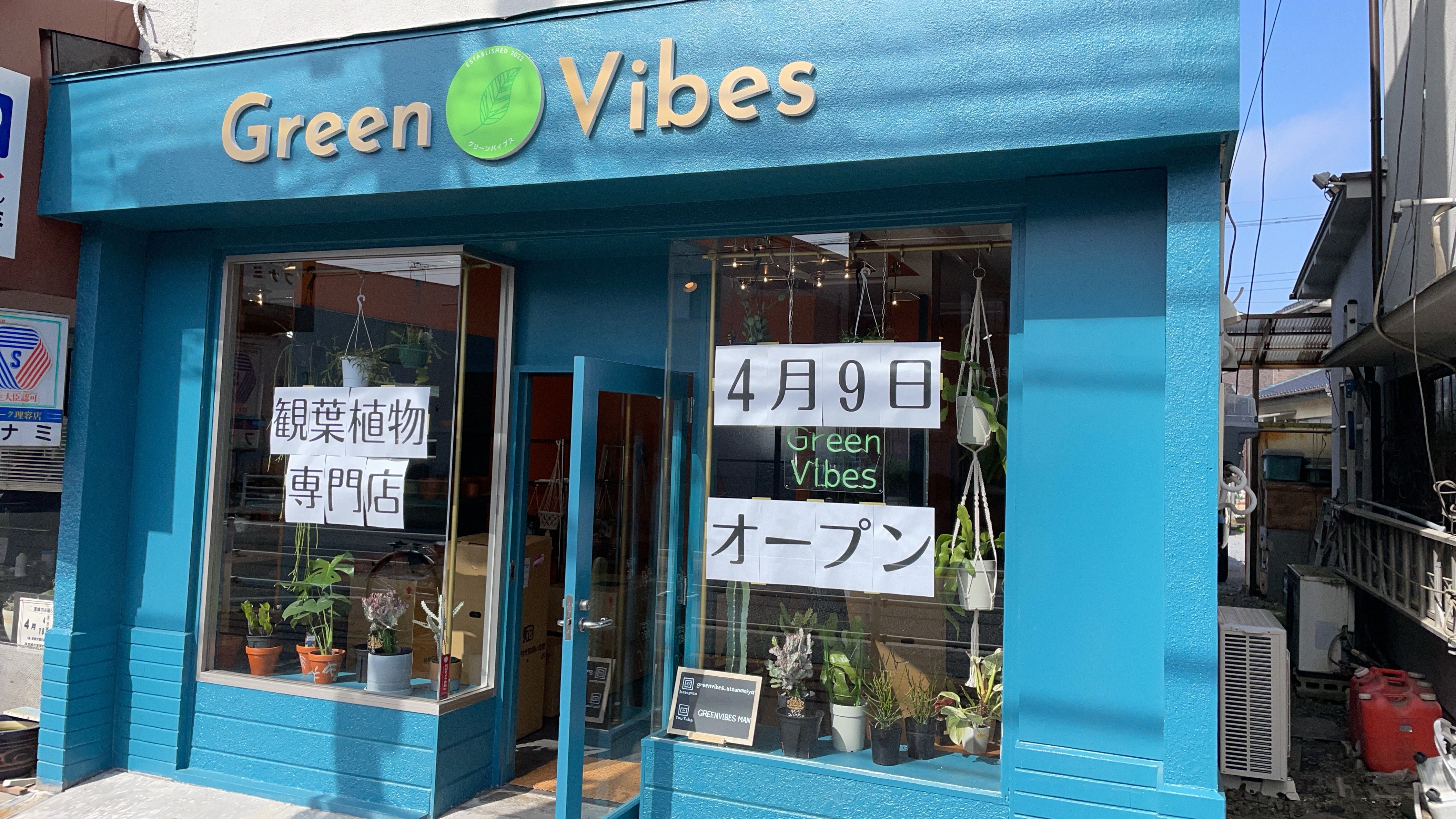 Green Vibesオープンするまで⑤