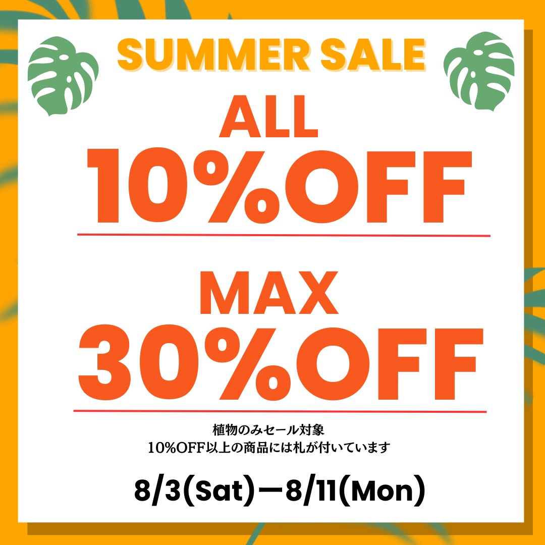 サマーセール開催8/3〜8/11まで