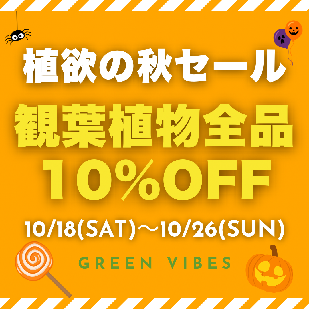 植欲の秋セール！10%オフ
