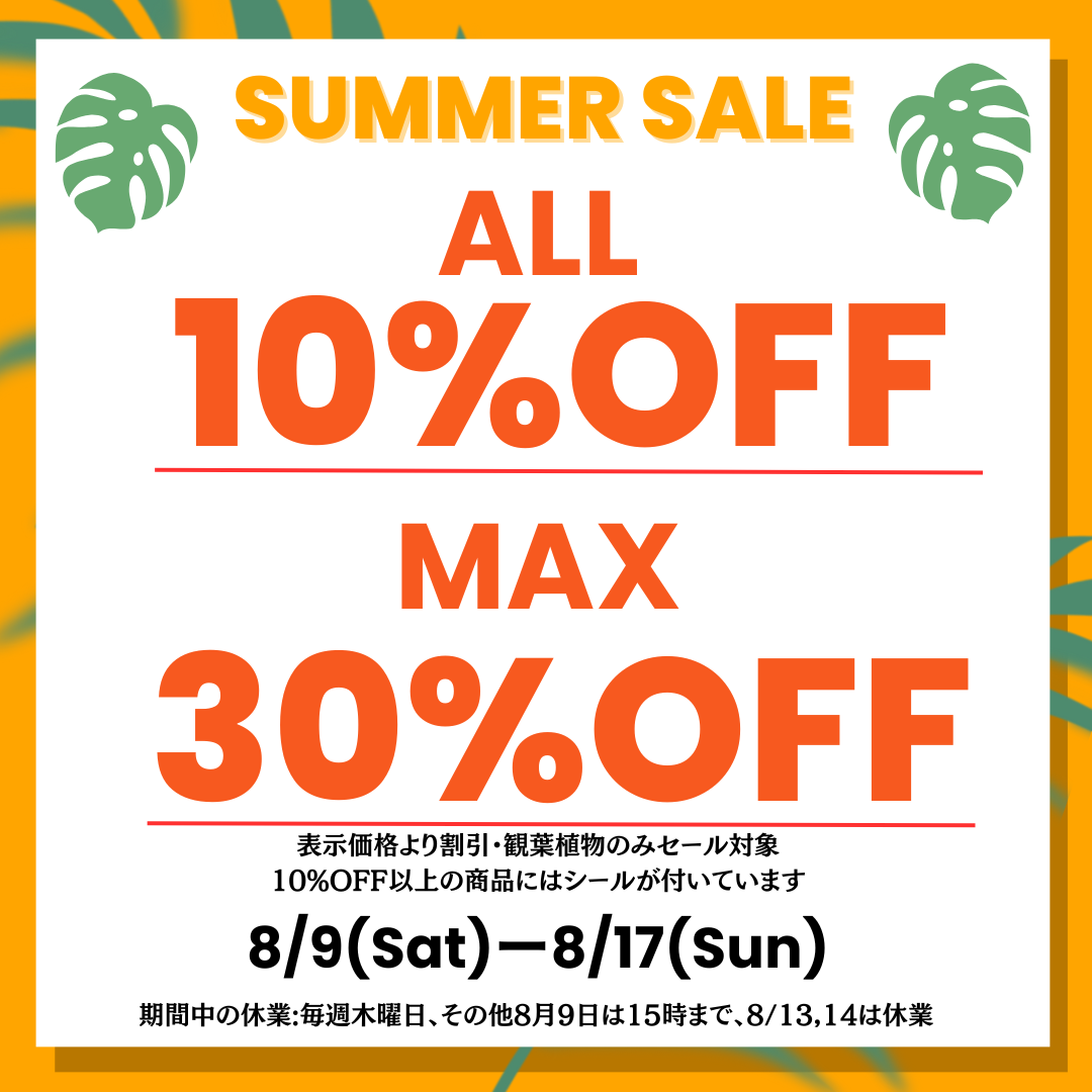 8/9〜8/17までサマーセール植物全品10%OFF