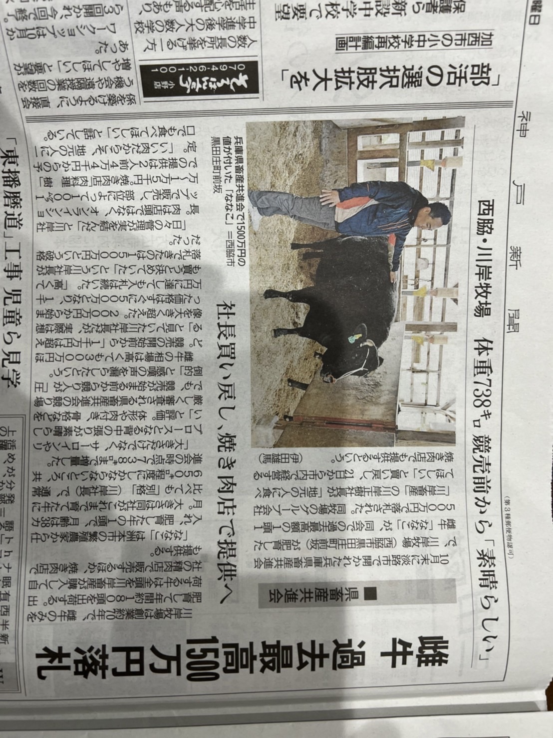 兵庫県畜産共進会　(11月9日神戸新聞記事)