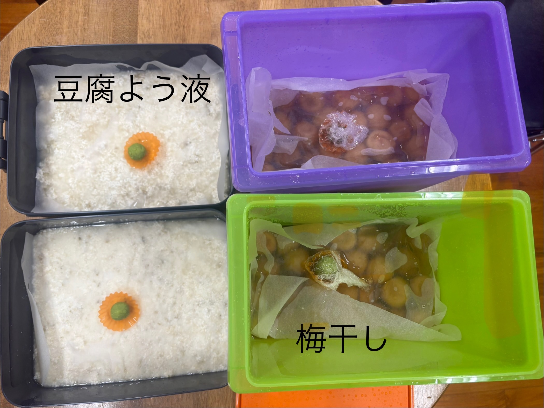 来週の教室予定