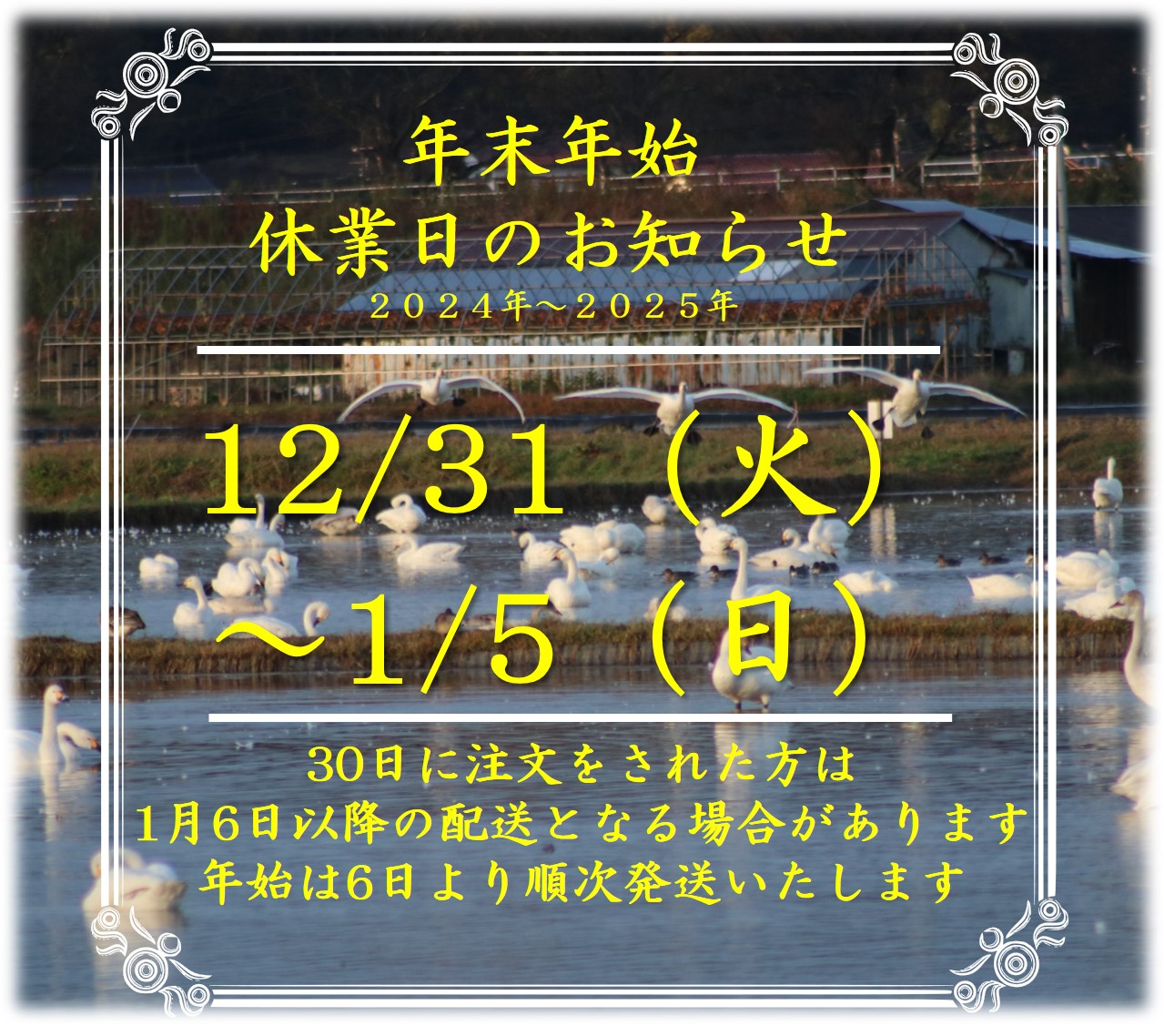 年末年始の発送について（お知らせ）