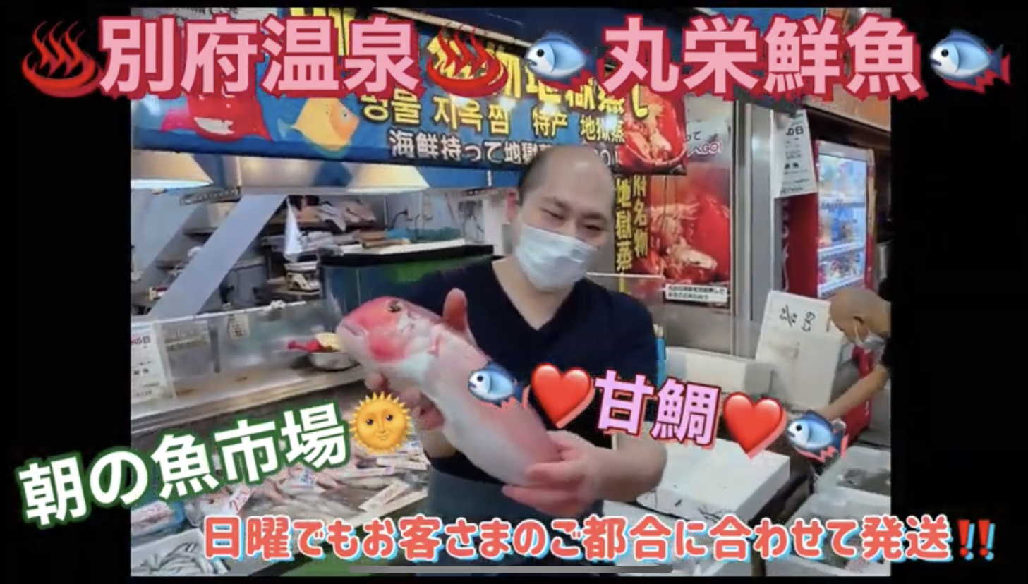 生簀の見学ツアー！寿司・割烹卸🍣鮮魚店の仕入れ鮮魚BOXがご自宅に！