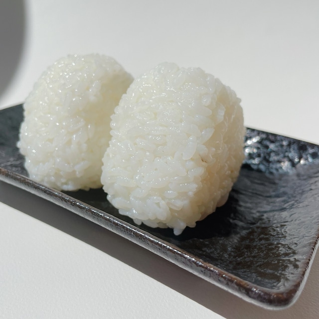 新米入荷!令和7年産 岡山県産 にじのきらめき【5kg×2袋セット】