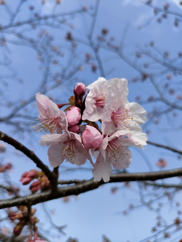 卒入学おめでとうキャンペーン♬