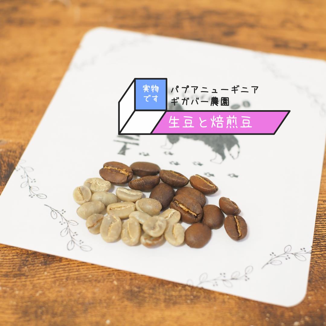 ☆【豆のお顔】☆『パプアニューギニア』ギガバー農園
