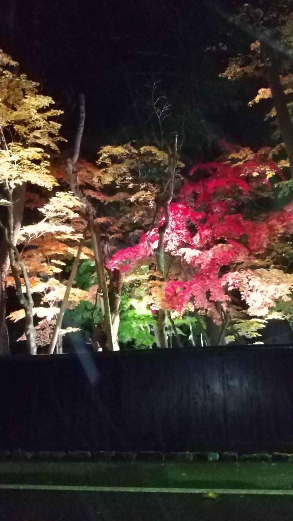 角館の紅葉