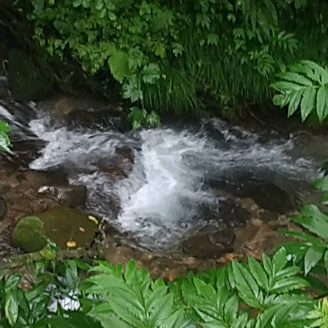 今日も暑かった～