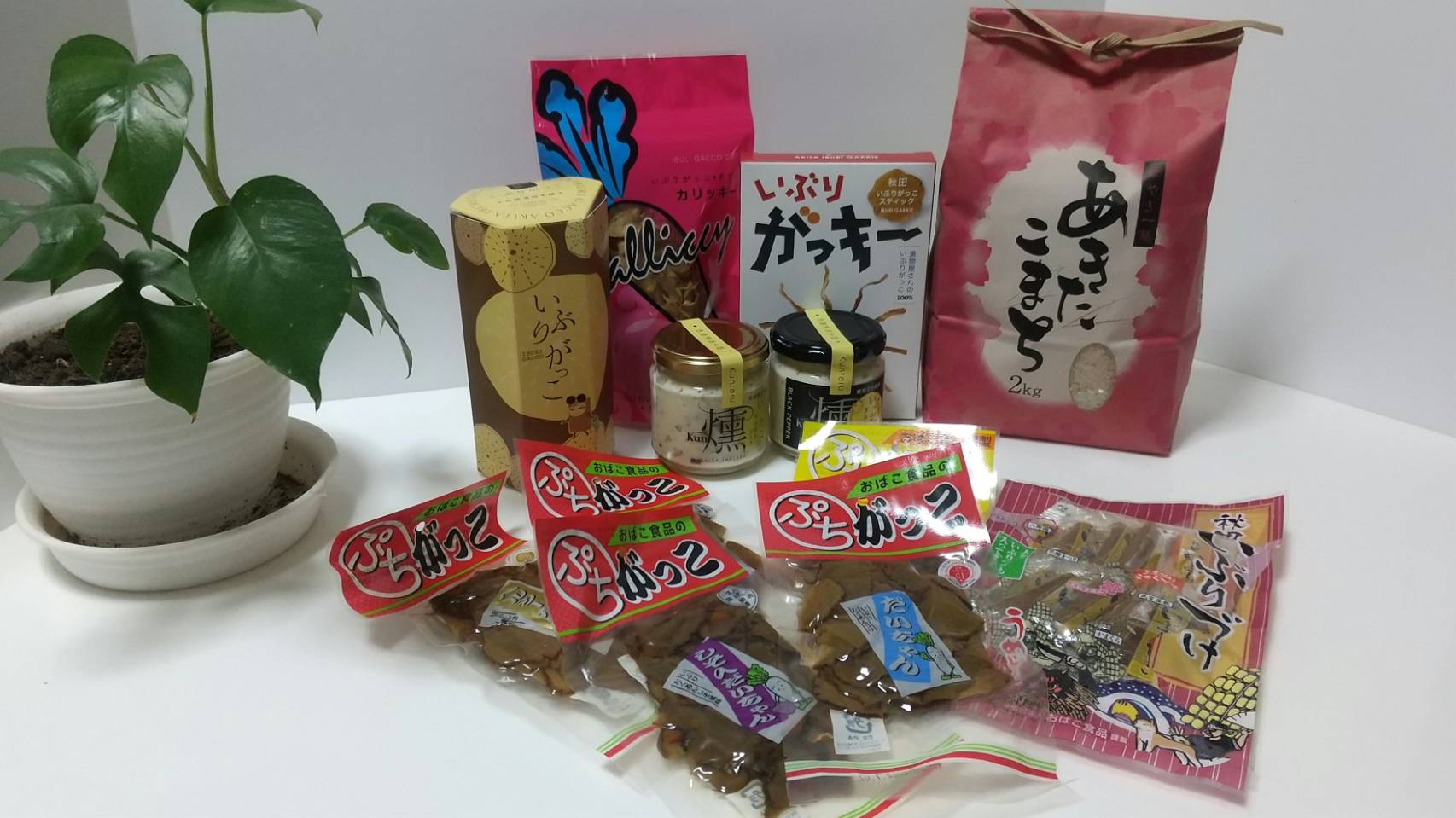 新商品登場・・・