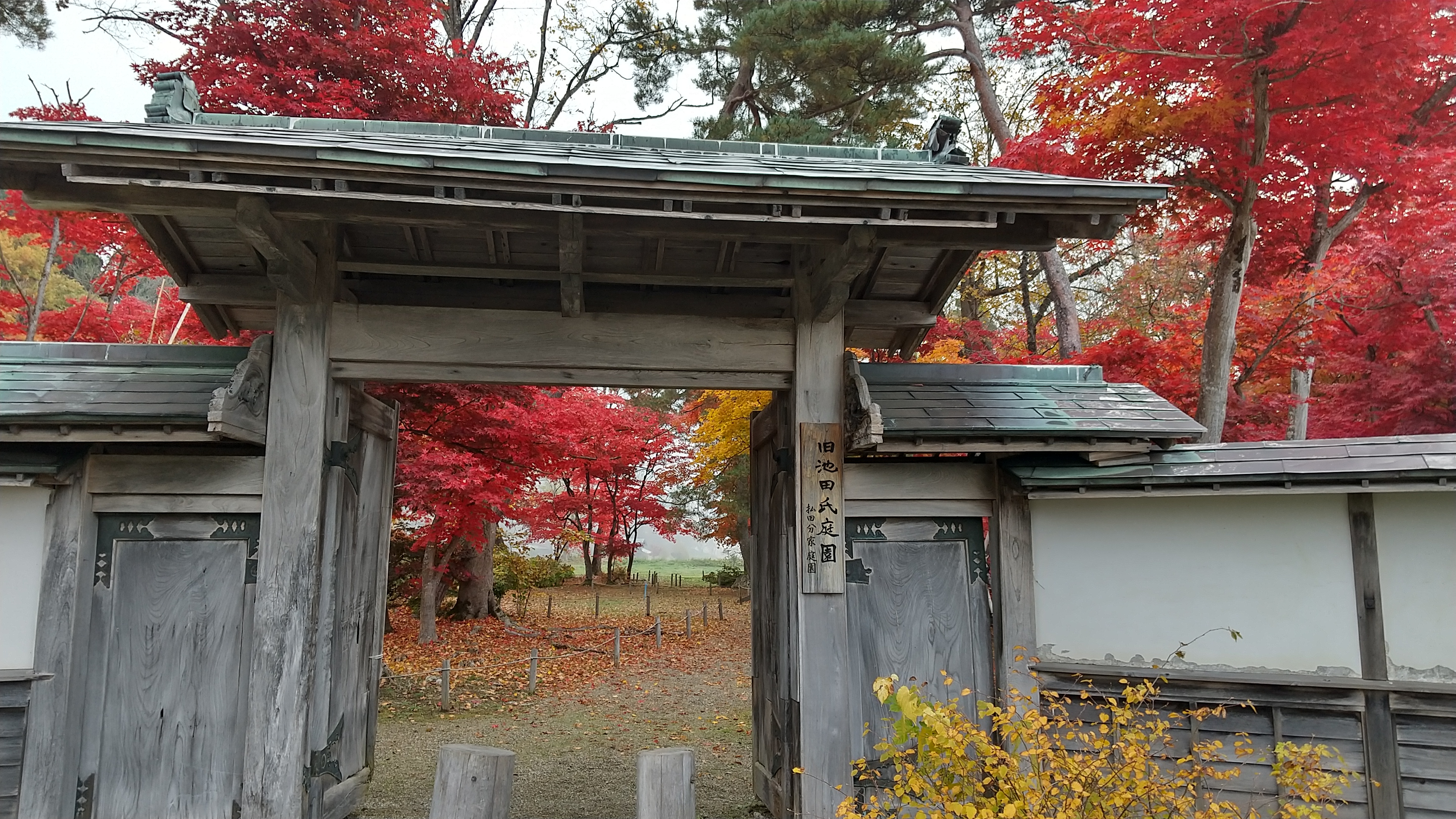 旧池田邸庭園の紅葉